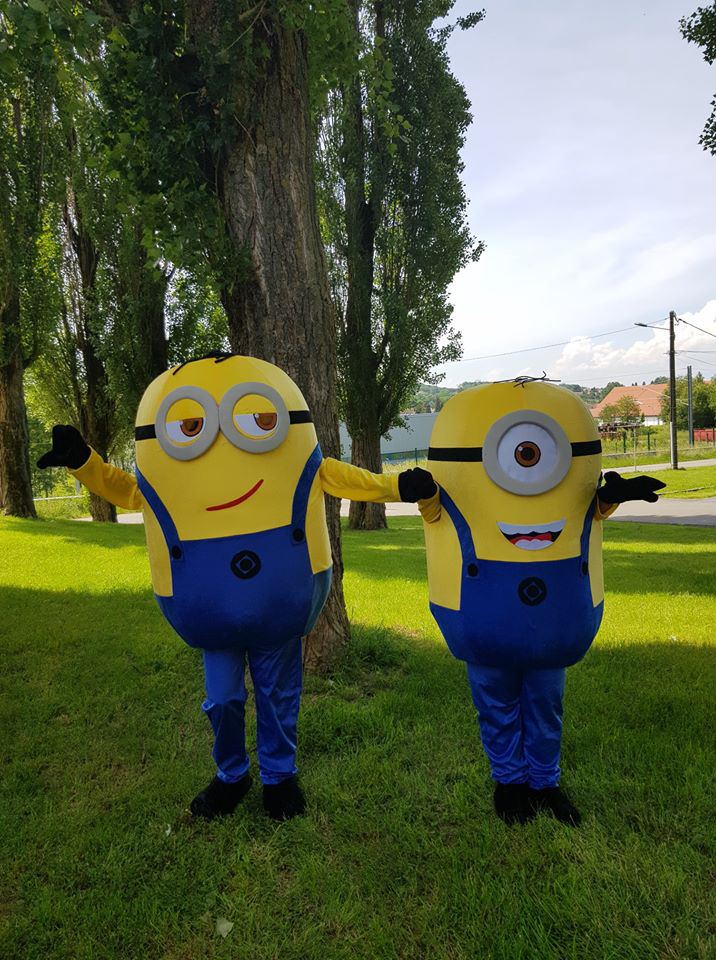 Les Minions (Stuart et Dave)
